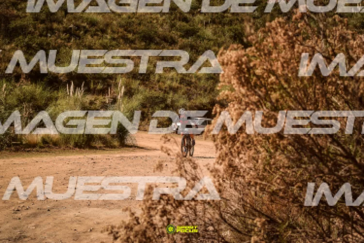 procesando foto